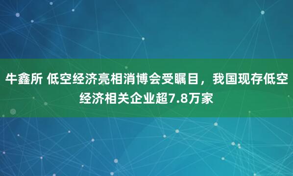 牛鑫所 低空经济亮相消博会受瞩目，我国现存低空经济相关企业超7.8万家