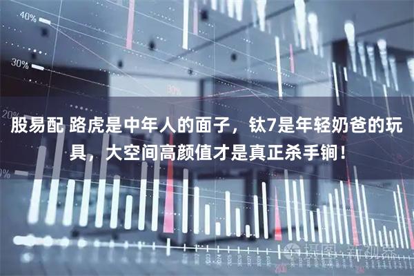 股易配 路虎是中年人的面子，钛7是年轻奶爸的玩具，大空间高颜值才是真正杀手锏！