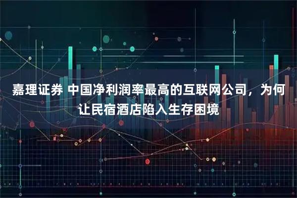 嘉理证券 中国净利润率最高的互联网公司，为何让民宿酒店陷入生存困境