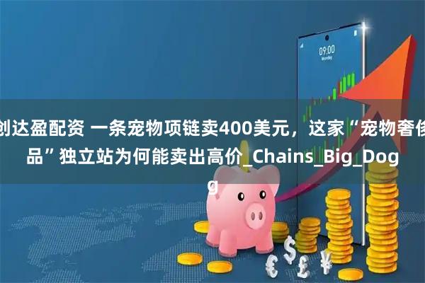 创达盈配资 一条宠物项链卖400美元，这家“宠物奢侈品”独立站为何能卖出高价_Chains_Big_Dog